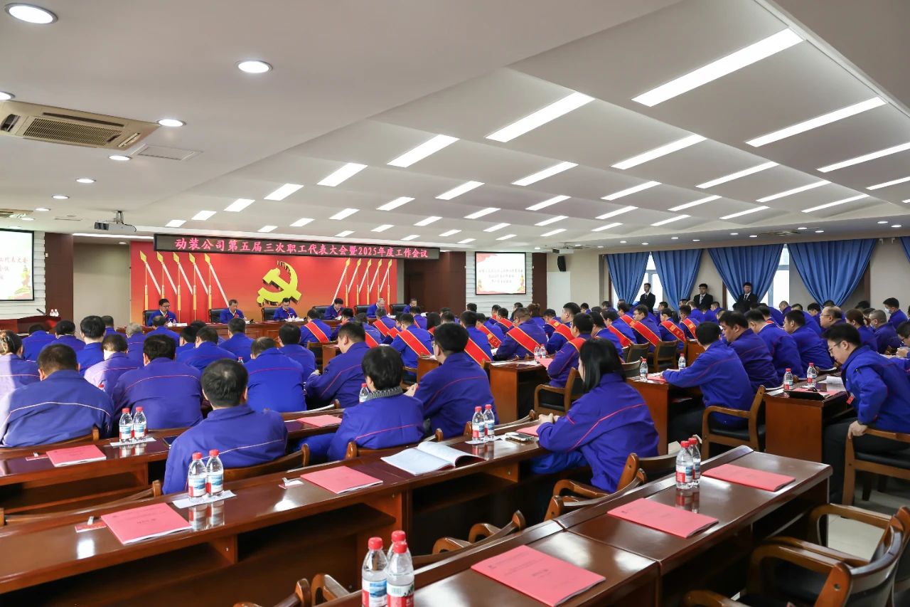 ed_1743473931471586.jpg 1.jpg